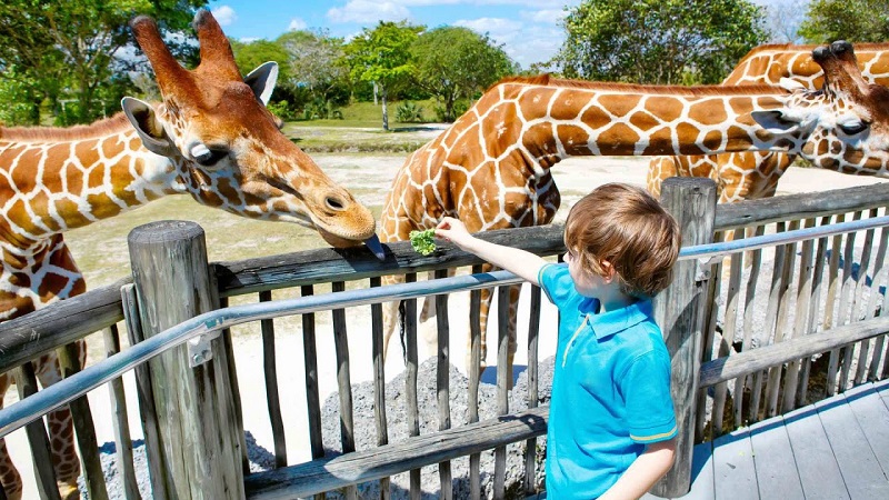 Criança no Jardim Zoológico de Lisboa