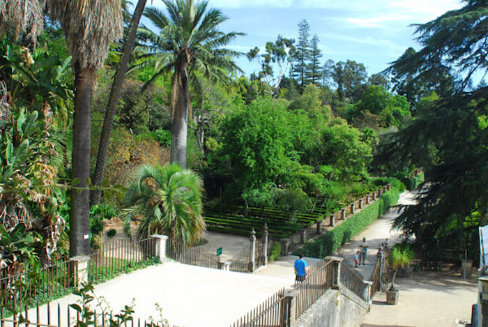 Passeio pelo jardim botânico de Coimbra