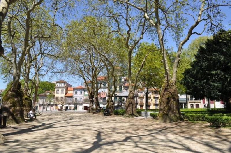Árvores no Jardim de João Chagas no Porto