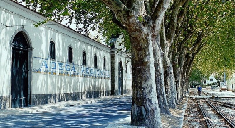 Edifício da Adega Regional de Colares em Sintra