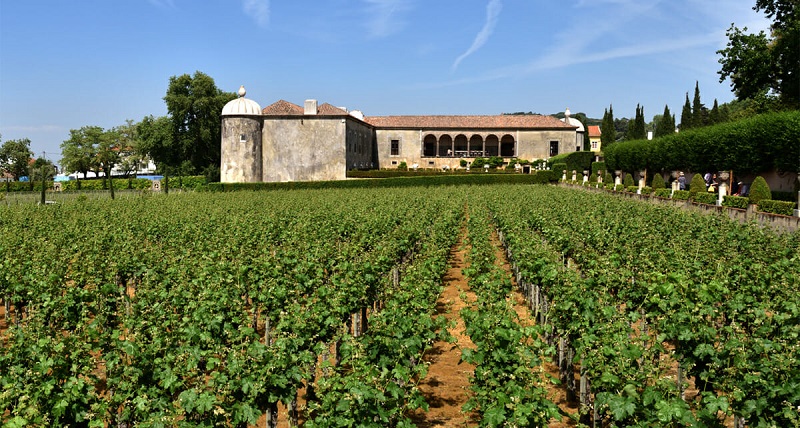 Bacalhôa Vinhos de Portugal em Setúbal