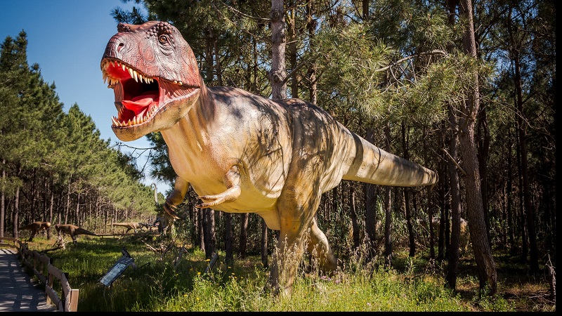 Tiranoussauro Rex no Museu dos dinossauros Dino Parque em Portugal