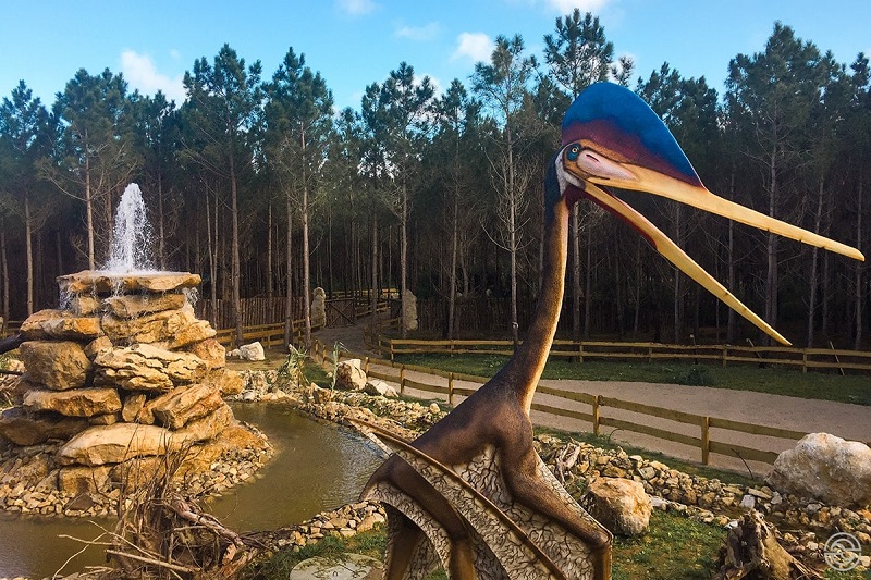 Área de aves no Dino Parque em Portugal
