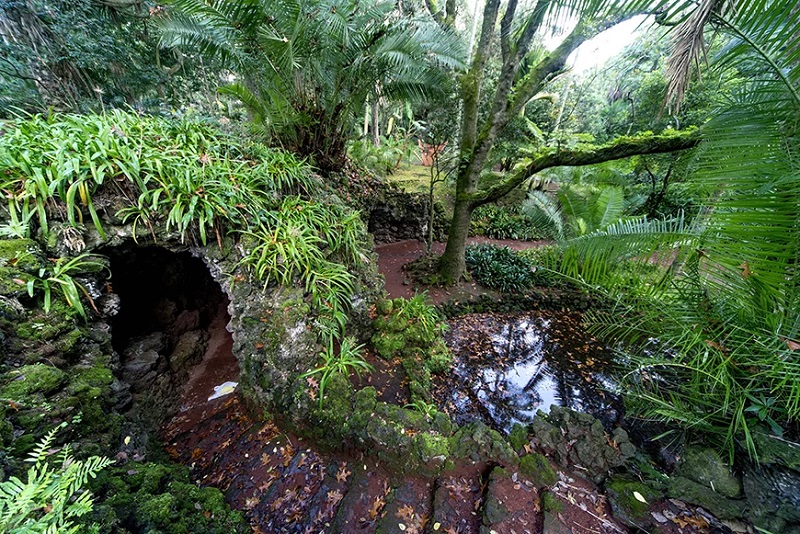 Jardim Botânico António Borges em São Miguel dos Açores